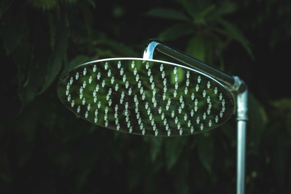 Premium rainfall shower head installation